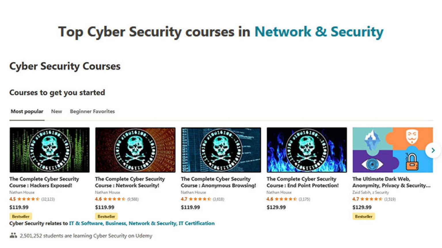 best cyber security courses on udemy